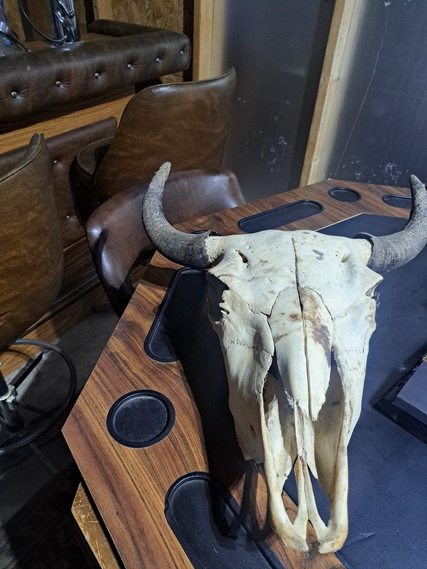 STEER ANIMAL SKULL