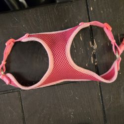 Small Cat Dog Harness Collar