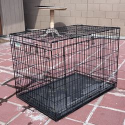 Xlarge Dog Crate Kennel 42 X 28 X 30 Double Door Top Paw