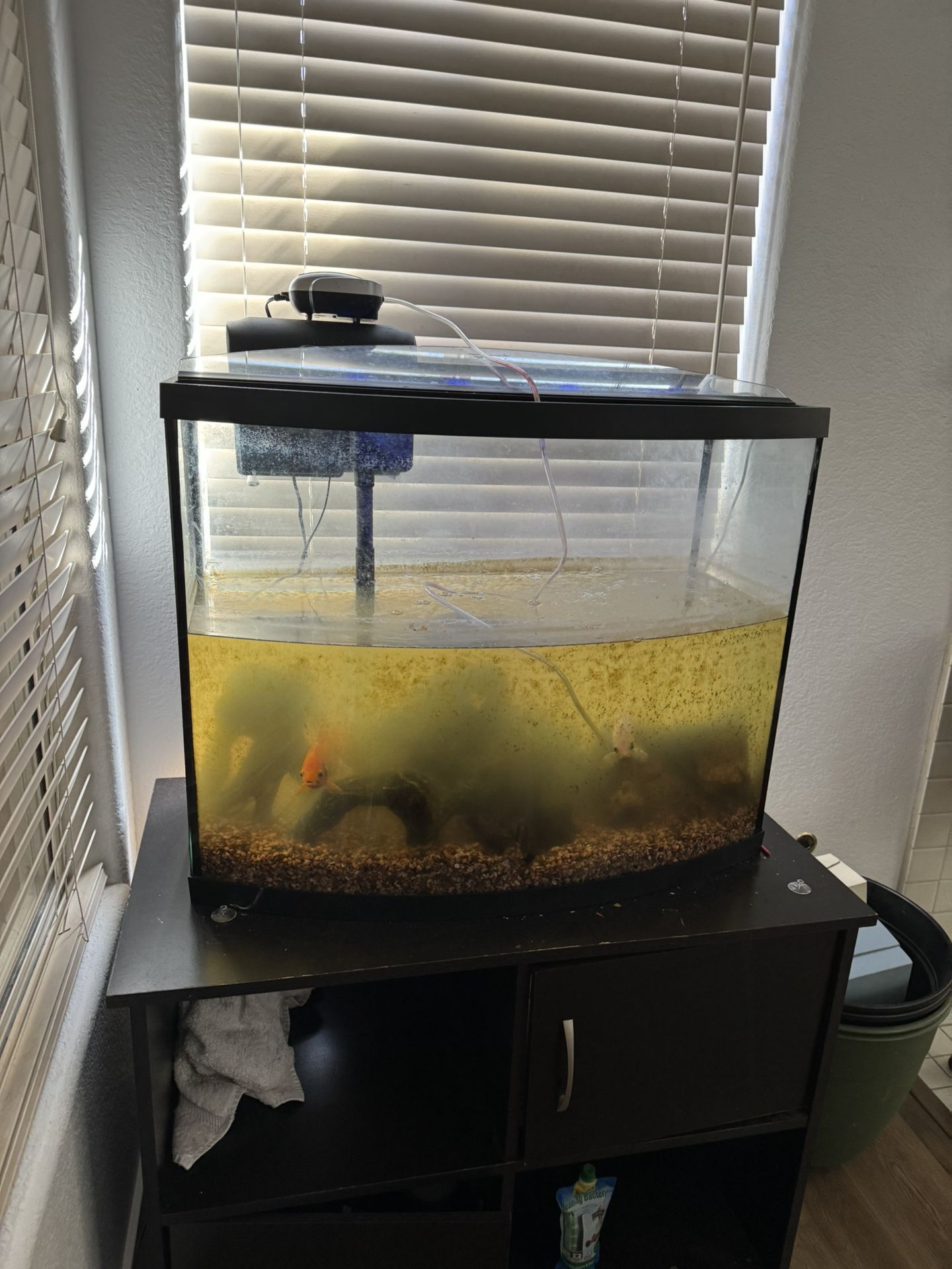 Fish Tank