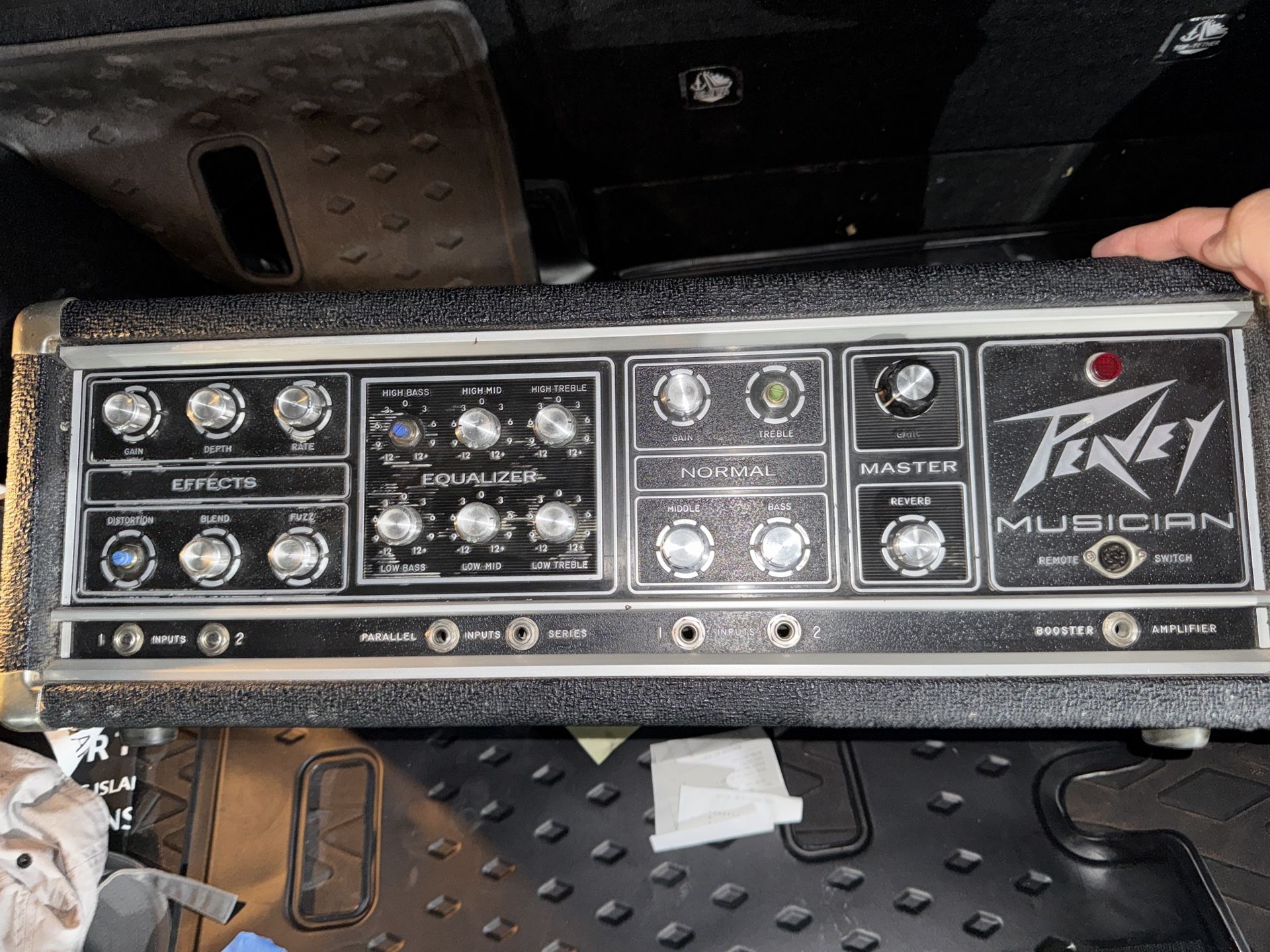 Peavey Musician