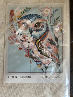 Adult Paint By Numbers kit