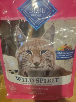 Comida Para Gatos 🐱 😋 