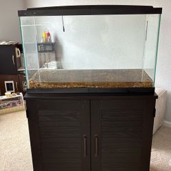 29 Gallon Fish Tank And Stand 