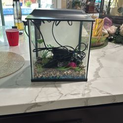 Fish Tank