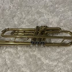 Trumpet New 