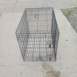 Large Dog 🐕...crate 