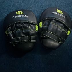 boxing mitts 