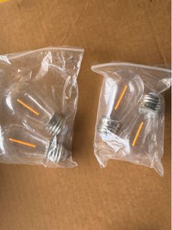 Bulbs