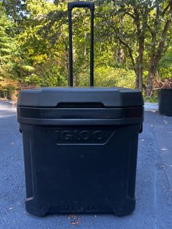 Igloo cooler maxcold 62qt