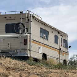 Amazing Deal My Loss Your Gain