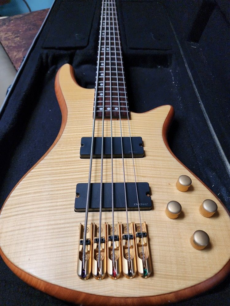 Schector 5 String Bass Guitar