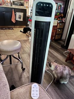 Fan with remote