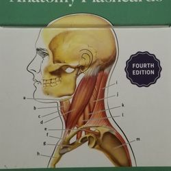 Anatomy Flash Cards, Kaplan Medical Cards (300) + 10 Customizable Bonus Cards And Sorting Ring. 4th Edition