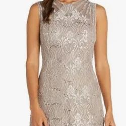 R & M Richards Women's Petite Sequin Lace Gown