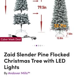 Two Lit Up Trees See Photo 