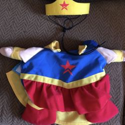 Pet Costume 