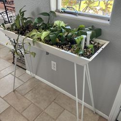 Entryway Table for Plants 
