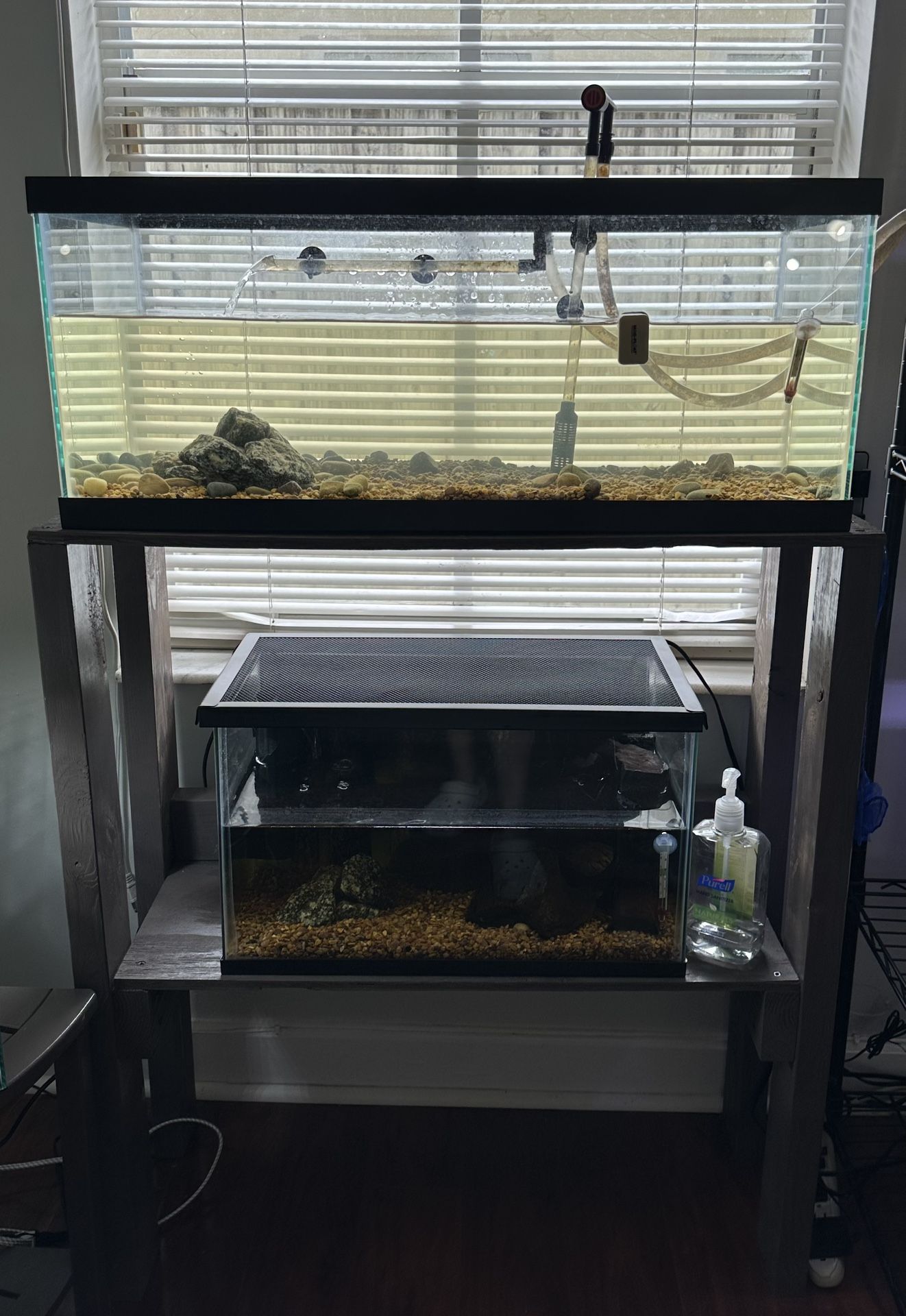 20 Gallon Long Tank With Stand, Filter, Heater 