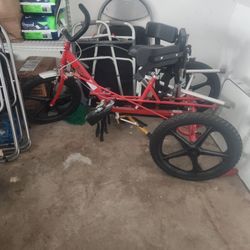 Triad Special Needs Triclye Red