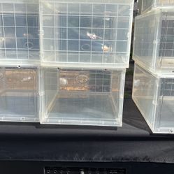 Shoe Box Clear