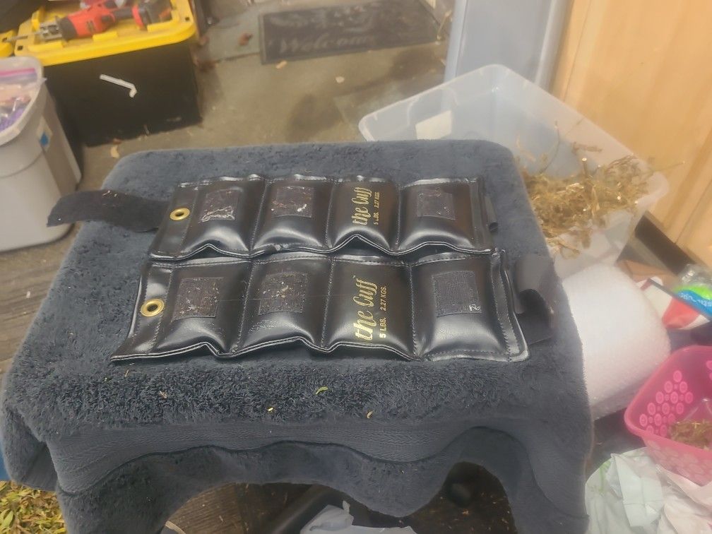 Set Of 5 Lb Leg Weights