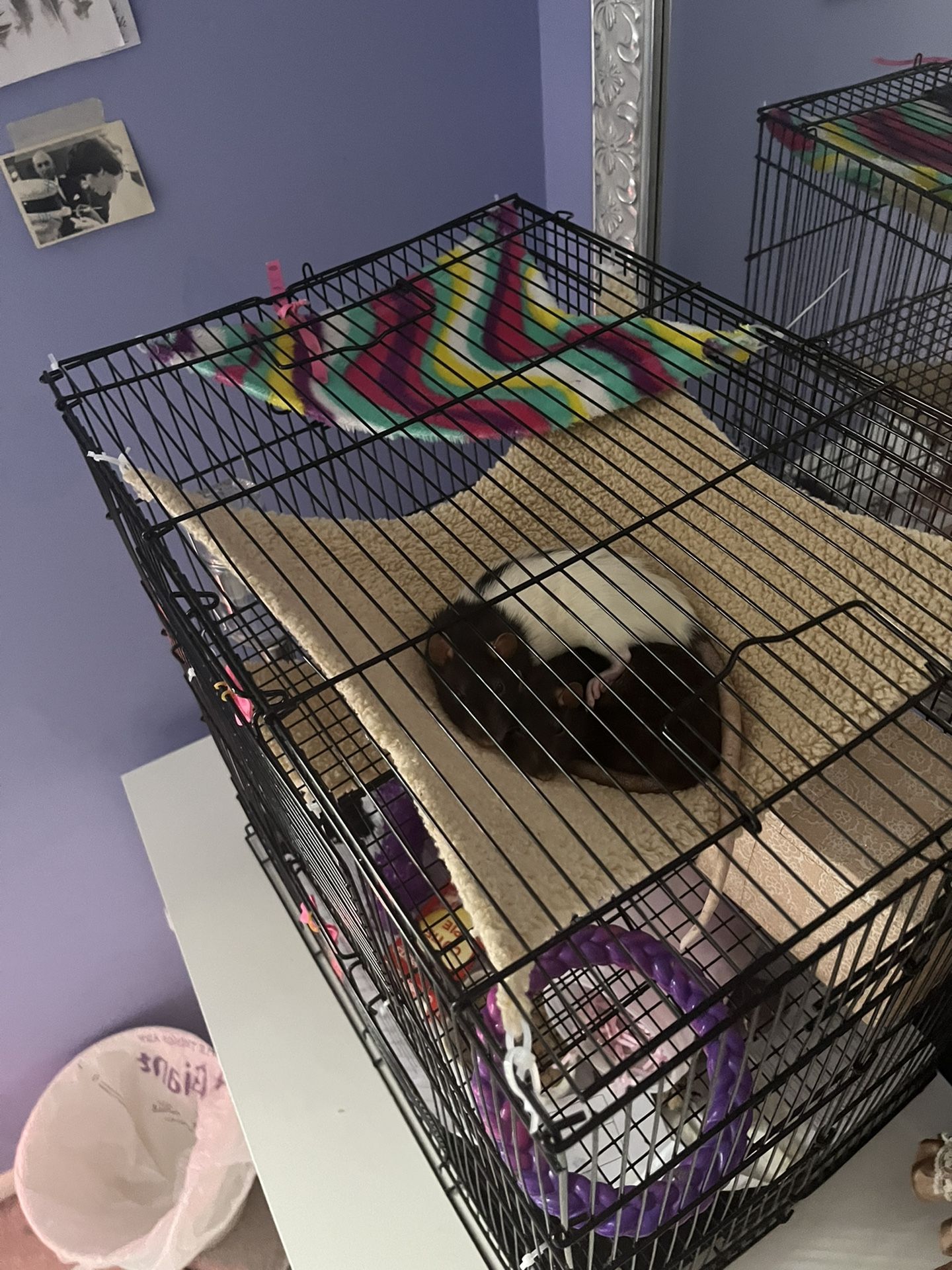 small pet cage :) 