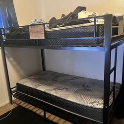 Twin Bunk Bed