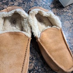 Uggs Shoe