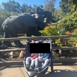 BOB Double Stroller
