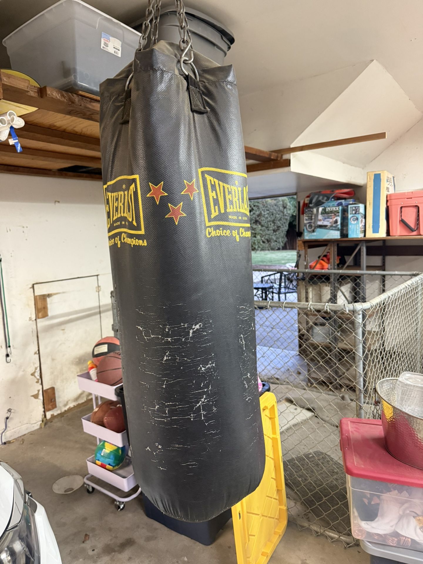 Everlast Punching Bag
