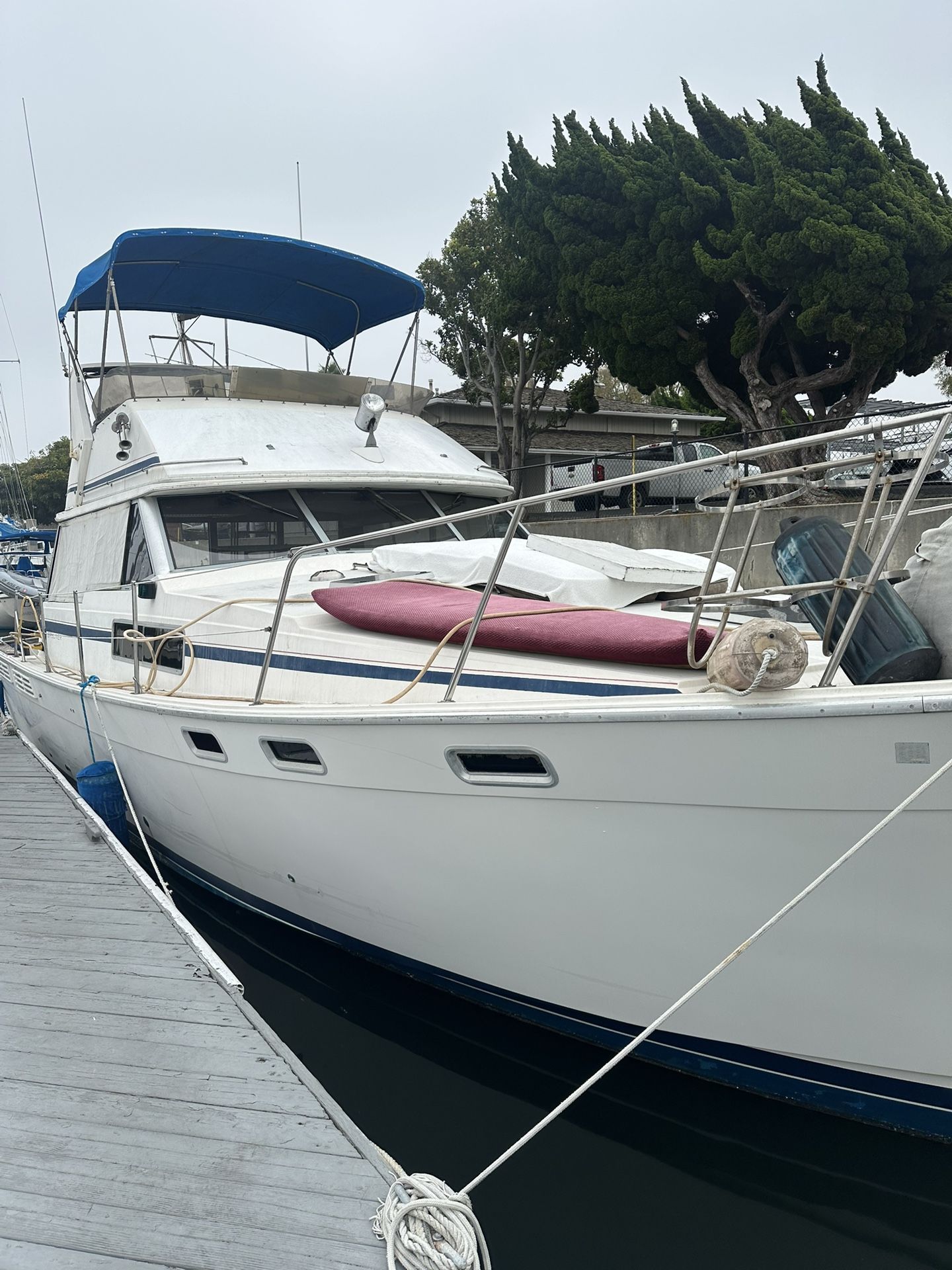 1987 Bayliner 38