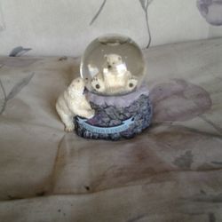 Sea World Polar Bear Snow Globe