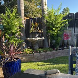 Cement Water Fountain