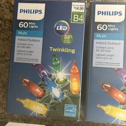 Indoor/Outdoor Twinkling Lights 