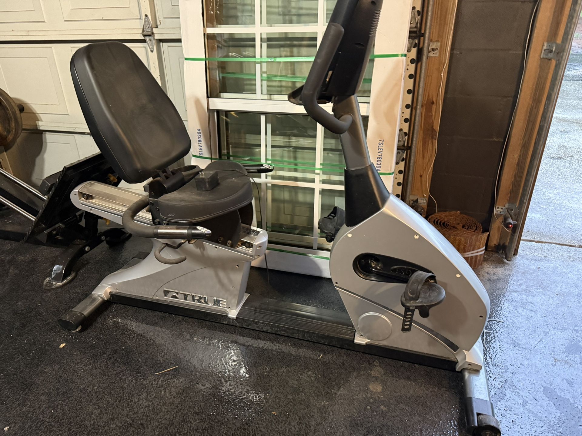 Recumbent Bike