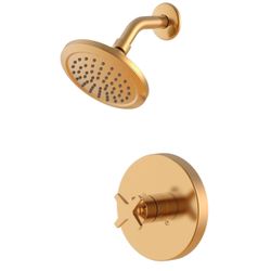 NIB- Brushed Gold Studio Design Tris Shower Head & Faucet