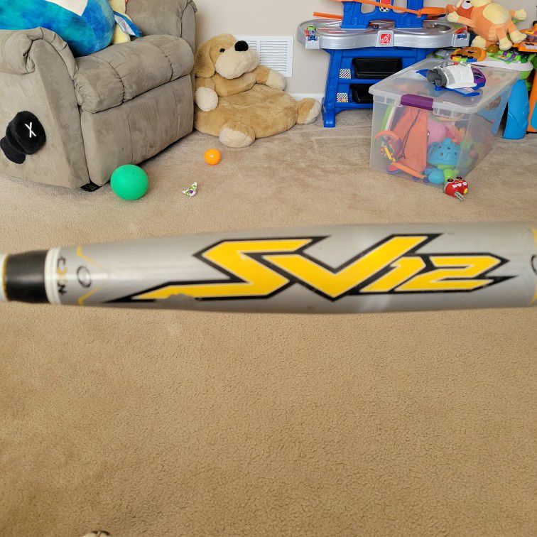 Easton Baseball Bat (BSV2 - 32 Inches) 