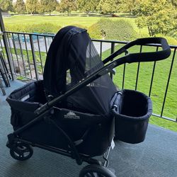 Expedition 2-in-1 Stroller Wagon PLUS