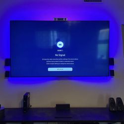 TV MOUNT