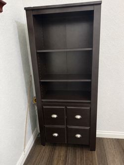 Bookcase/Library with doors