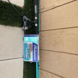 Fishing rod and fish bait