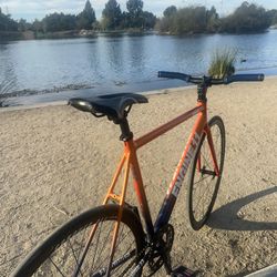 Fixie,throne, big ripper, bikes,