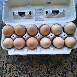 Organic eggs