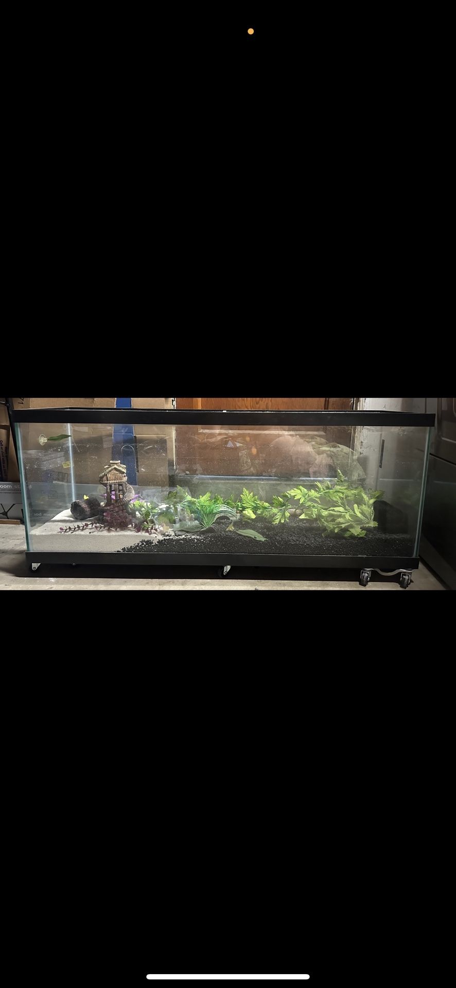 50 Gallon Topfin LED Aquarium