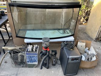 Fish Tank For Salt Water 