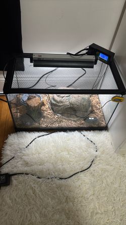 Corn Snake Tank Setup 