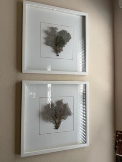 Two framed pictures