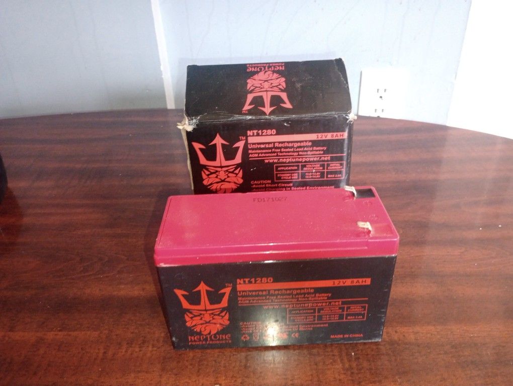 Neptune Universal Rechargeable Battery 12 V