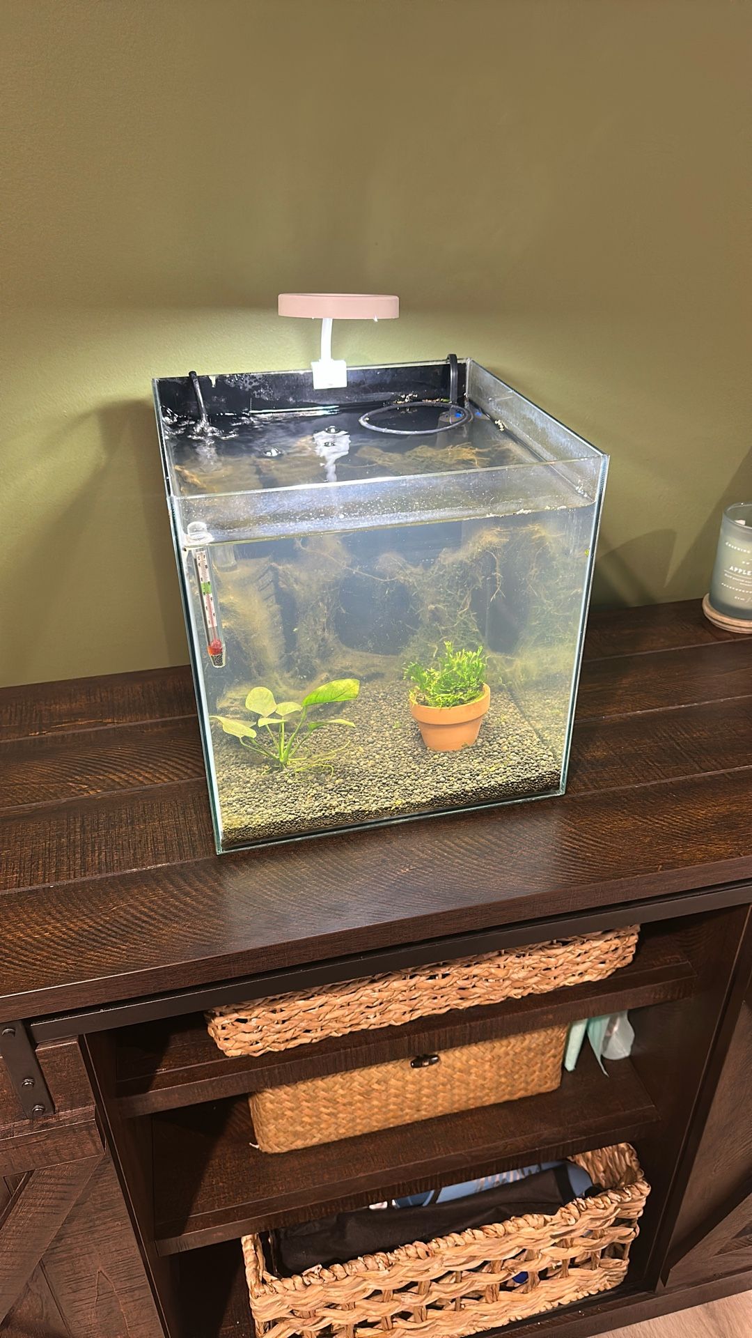 5.5 Gallon Fish Tank